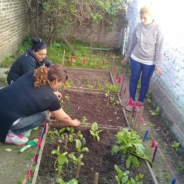 Seguridad y Soberanía Alimentaria